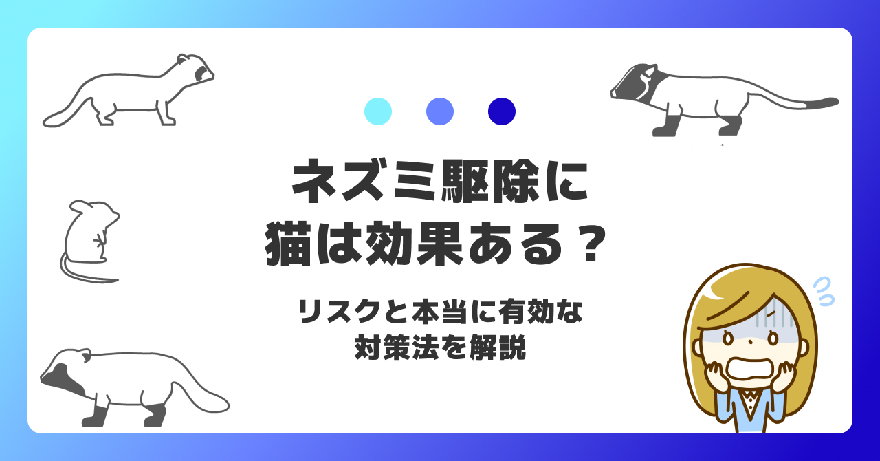 ネズミ駆除に猫は効果ある?リスクと本当に有効な対策法を解説