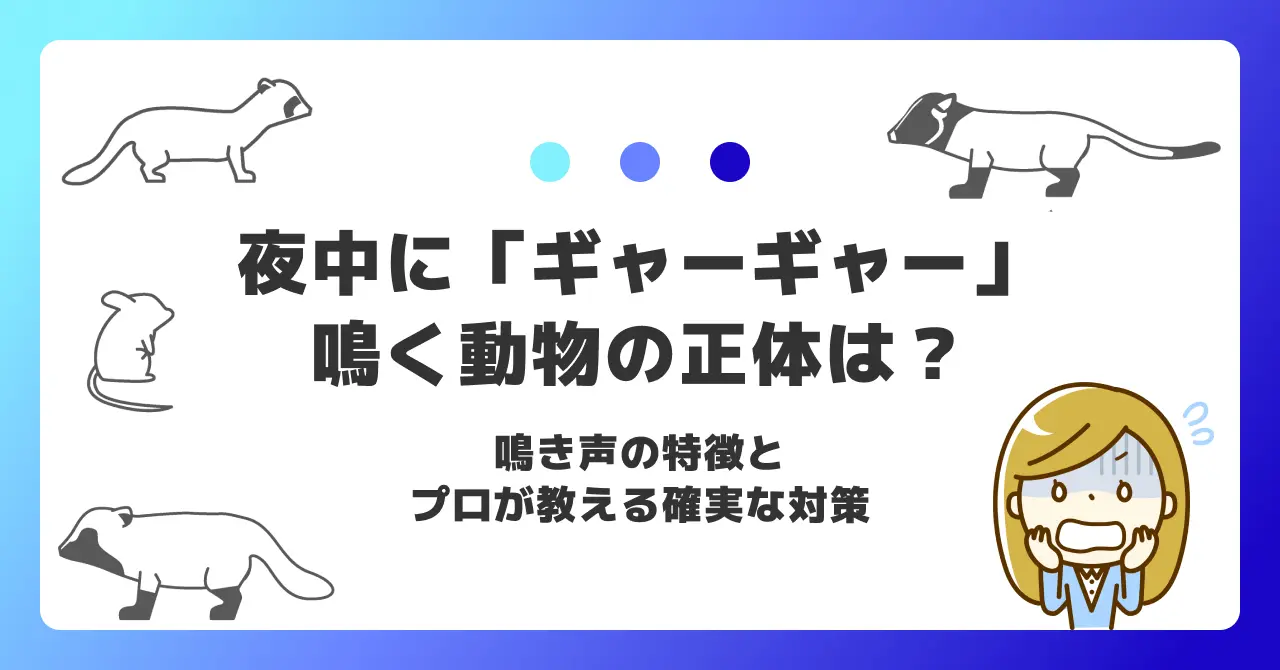 ハクビシン 鳴き声 夜